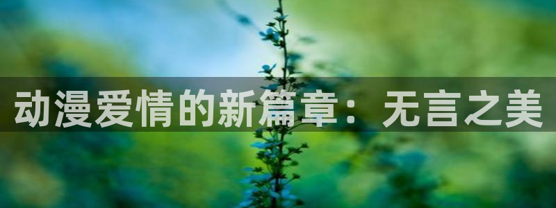 动漫岛十八