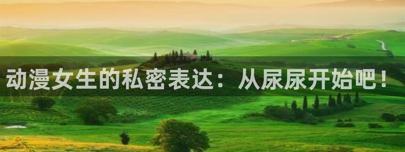 动漫岛动漫官网入口