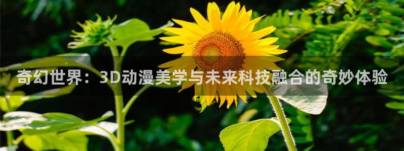 动漫岛.
