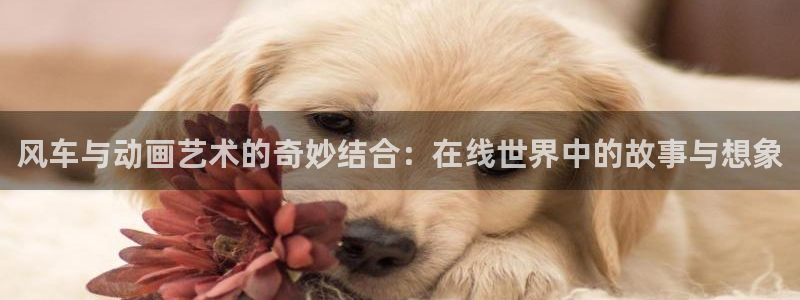 动漫岛网址