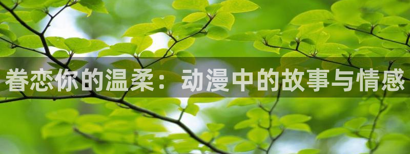 动漫岛下载
