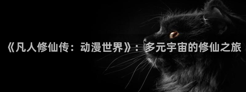 动漫岛盾之勇者成名录