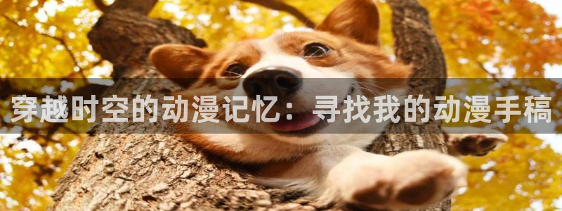 三国动漫岛