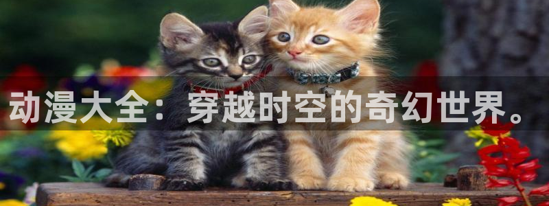 动漫岛最新版