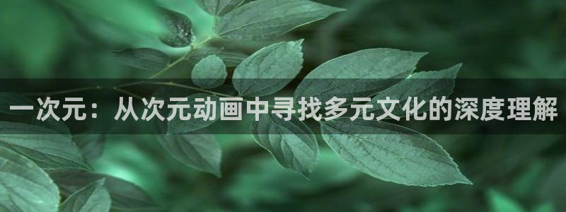 动漫岛在线观看