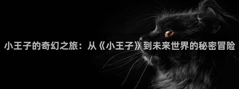 动漫岛官方版