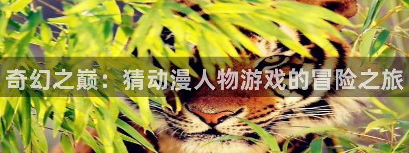动漫岛dm