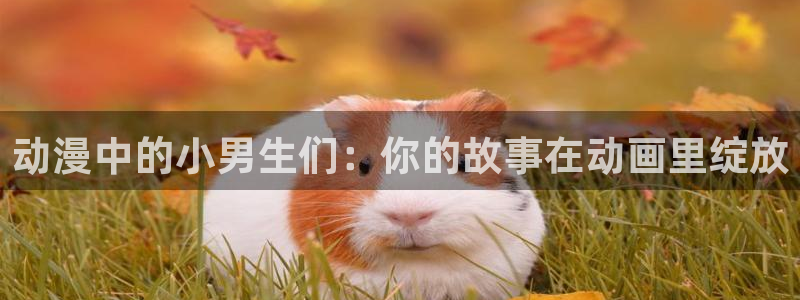 动漫岛盾之勇者成名录
