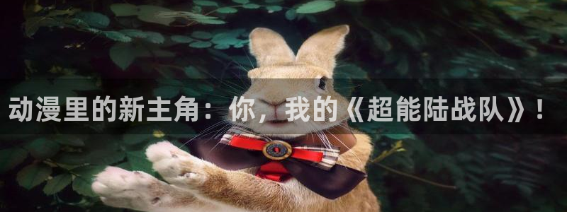 动漫岛十八禁
