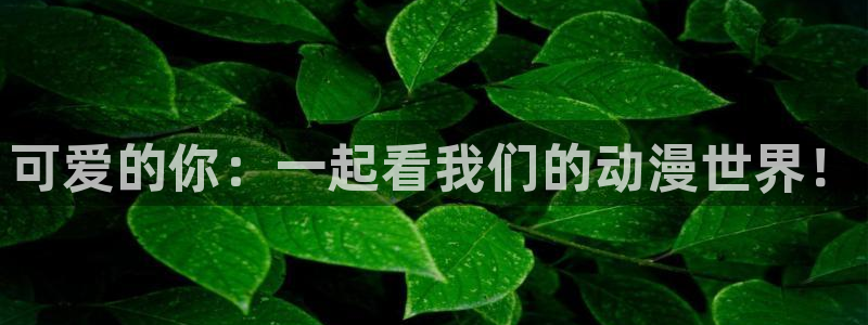动漫岛网站入口
